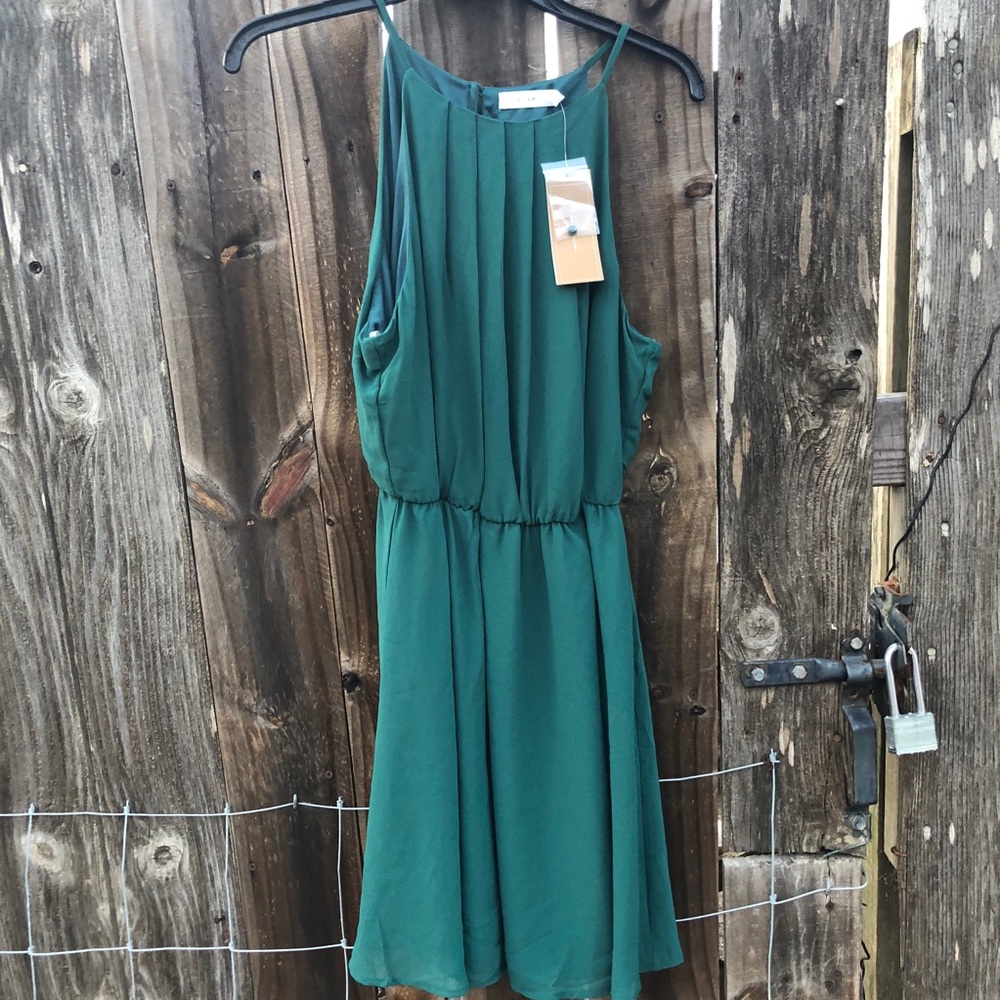 NWT: Francesca’s Evergreen Dress!